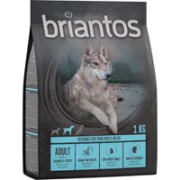 1kg Adult saumon, pommes de terre, SANS CÉRÉALES Briantos Croquettes pour chien à prix mini !