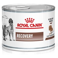 12x195g Recovery Royal Canin Veterinary Diet - Pâtée pour chat
