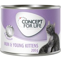 24x200g Mum & Young Kittens Mousse Concept for Life - Pâtée pour chatte et chaton