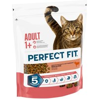 Perfect Fit Active 1+ rikt på nötkött - 1,4 kg