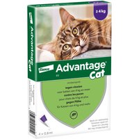4 Pipetten Advantage 80 voor katten vanaf 4kg - BE
