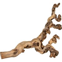 Trixie gezandstraalde Wijnstokken 40-60cm Voor Knaagdierkooien en Terraria