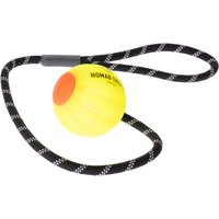 Balle avec corde Nomad Tales Spirit USB avec LED pour chien – 6,4 cm de diamètre x L 61 cm