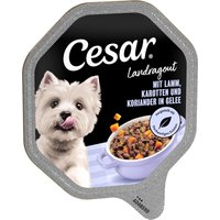 Cesar 28 x 150 g portionsform - Lamm, morötter & koriander i gelé