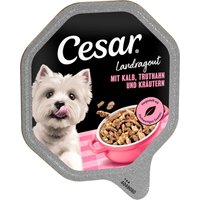 Mégapack Cesar 14 x 150 g pour chien - Ragoût veau, dinde