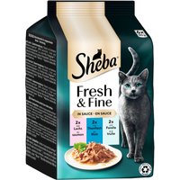 Sheba Fresh & Fine saquetas 12 x 50 g - Pack económico - Salmão, atum e truta em molho