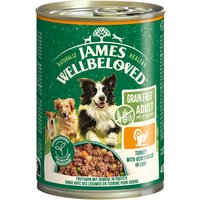 James Wellbeloved Adult Dog Grain Free Hypoallergenic Paté med kalkon - Ekonomipack: 24 x 400 g