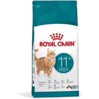 Royal Canin Ageing 10+ Dog Food
