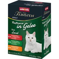 animonda Vom Feinsten Adult Raffinesse en gelée 24 x 85 g pour chat - paquet mix variétés de la campagne (3 sortes)