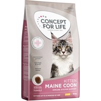 Concept for Life Maine Coon Kitten – förbättrad sammansättning! - Nytt: 10 kg
