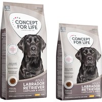 13.5kg Concept for Life Dry Dog Food - 12kg + 1.5kg Free! * - Labrador Retriever Adult (12kg + 1.5kg Free!)