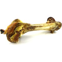 1 os d'autruche DeliBest XXL friandise pour chien