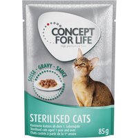12x85g Sterilised Cats saumon Sterilised Cats en sauce Concept for Life