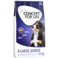 2x12kg X-Large Junior Concept for Life - Croquettes pour chien