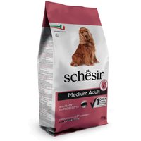 12 kg Croquettes Schesir Medium/Large Maintenance jambon pour chien