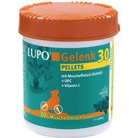 LUPO Joint 30 pellets - 1100 g