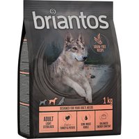 1kg Adult Light/Sterilised dinde & pommes de terre - SANS CÉRÉALES Briantos Croquettes pour chien à prix mini !