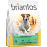 Briantos Adult Mini Agnello & Riso Crocchette per cane - 1 kg