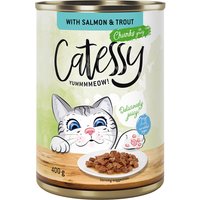 Catessy bitar i sås eller gelé kattmat 12 x 400 g - Lax & öring i sås