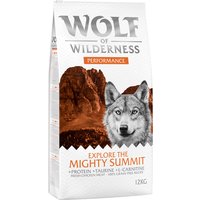 Multipack risparmio! 2 x 12 kg Wolf of Wilderness Explore Crocchette per cani - Explore The Mighty Summit - Performance