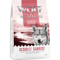 5kg Wolf of Wilderness Scarlet Sunrise saumon, thon - Croquettes pour chien