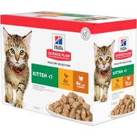 Hill's Science Plan Kitten 24 x 85 g- Poultry Selection