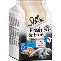 6x50g Sheba Délices du jour Fresh & Fine, Saumon et thon en sauce - Pâtée pour chat