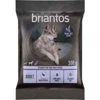 Briantos Adult canard, pommes de terre - SANS CÉRÉALES pour chien - format d'essai : 100 g
