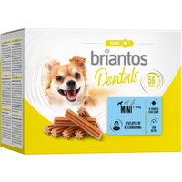 Briantos Dental Snacks för hundar - Mini (56 pinnar)