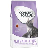 Concept for Life Mum & Young Kittens - Ekonomipack: 2 x 10 kg