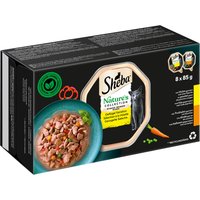 Ekonomipack: Sheba Nature's Collection in Sauce 64 x 85 g - Fjäderfävariationer
