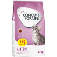 10 + 2 kg på köpet! 12 kg Concept for Life torrfoder katt - Kitten (10 + 2 kg)