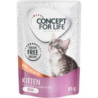 Ekonomipack: Concept for Life Grain Free 48 x 85 g - Kitten Lax - i gelé