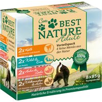 Lot économique : 16 x 85 g Best Nature Cats lot mixte de 4 saveurs Pâtée pour chat