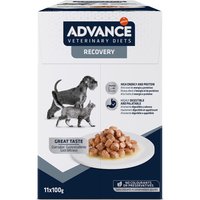 11x100g Advance Veterinary Diets Recovery - Pâtée pour chien