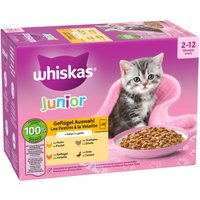 Whiskas Junior portionspåse 12 x 85 g - Fjäderfäurval i gelé