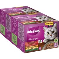 Jumbopack Whiskas 1+ Marmiton 96 x 85 g pour chat - Sélection classique en gelée