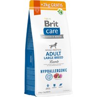 12kg Large Breed agneau, riz Hypoallergenic Adult Brit Care Croquettes pour chien + 2kg offerts !
