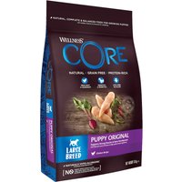 Lot économique : 2 x 10 kg Wellness Core Large Puppy nourriture pour chien sèche