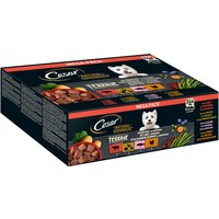 Cesar Natural Goodness sans céréales avec superaliments 48 x 100 g pour chien Terrine (volaille, dinde, bœuf, saumon)
