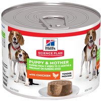12 x 200 g de nourriture humide pour chiens Hill’s Science Plan Puppy & Mother Tender Mousse au poulet