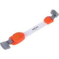 Bande lumineuse Jelly Nomad Tales Spirit USB pour chien