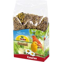 JR Farm Individual comida para canarios - 2 x 1 kg