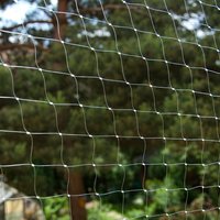 Filet protection Chat - monofibre transparent