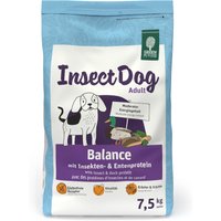 Green Petfood InsectDog Balance insekter & kyckling - 7,5 kg