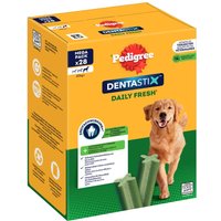 Storpack! 168 x Pedigree Dentastix Daily Oral / Fresh - Fresh Large (>25 kg)