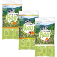 Bunny Conjunto de feno FreshGrass, com cenoura, Vital, com flores - 3 x 500 g