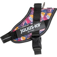 Limited Edition Julius-K9 IDC® hundsele, Leaf 2 - Storlek S/Mini: Bröstomfång 49 - 67 cm