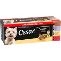 40x100g Cesar Sachets fraîcheur en sauce nourriture humide pour chien