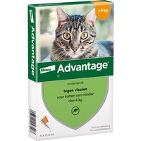 2 x 4 Pipetten Advantage® 40 voor katten van minder dan 4 kg - Dubbelpak -NL